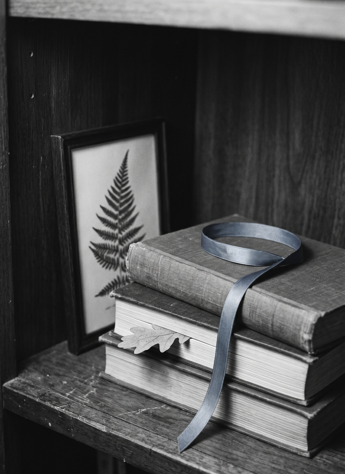 Poetcore vs Dark Academia — A Decision Tree