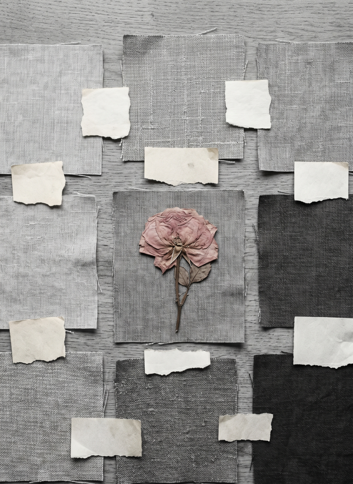 The Poetcore Colour Palette — 12 Shades From Dried Flowers and Old Paper